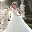 보태니컬 이미지