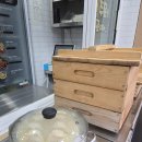 천진교자 개성 손만두 | 길음역맛집 훈장만두 길음점 포장으로 즐긴 군만두 교자만두