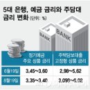 쑥장사