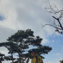 팔공산맥 이미지