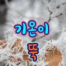 연신유도체육관 이미지