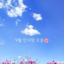 🌸9월에 전하는 인사말 모음🌸하루 좋은글 이미지