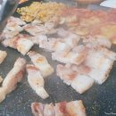 산본꽃돼지 이미지