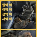 휴성펜션