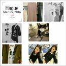 댕댕이샵 이미지