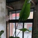 연화방제과 이미지