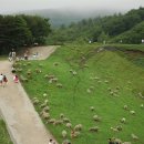 삼양펜션 이미지