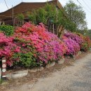 독산성길(삼남길) 이미지