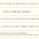 선운독일보청기 이미지