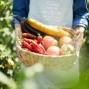 청옥산분말 이미지