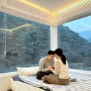 W펜션 | 🏨 W VILLAGE : 단양 힐링 숙소, 숲뷰 펜션 W08 후기