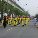 애채