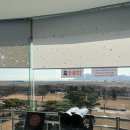 순천만습지 | 🌾 철새 시즌에 더 예뻤던, 순천만습지 다녀온 후기