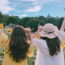 (주)해바라기 이미지