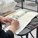 스타애견미용 이미지