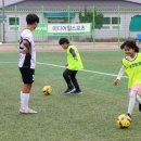 희망토토