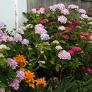 나성모텔 이미지