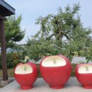 월악로농장 이미지