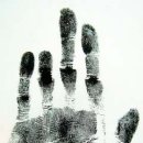 256회차 당첨풀이 모음이에요 이미지