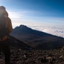 하쿠나마타타 이미지