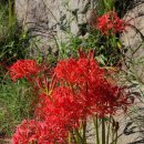 북평고등학교 이미지