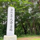 숲속구름호수 한국일보