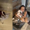 강아지 사랑 이미지