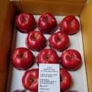 승진농장 이미지