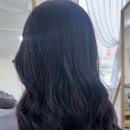 보르미 헤어 이미지