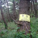 점봉농장 이미지