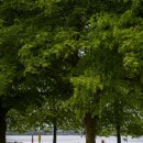 공원수퍼 이미지