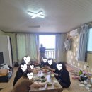 바다풍경 펜션민박 | 울릉도 바다 바로 앞, 바다풍경펜션 두 번째도 대만족 후기