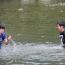 화동초교 이미지