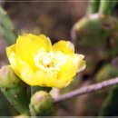 용수마을회관 이미지