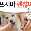 Be 동물병원 이미지