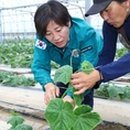 가음축산 이미지