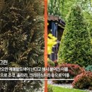 최문호 농장 네이버블로그
