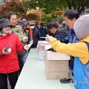 무릉도원면-33 이미지