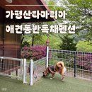 가평 아름마루 독채 애견펜션2 | 가평 산타마리아애견동반독채펜션 레지오2호 내돈내산 후기 :)