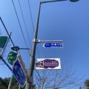 버스정류장 05-010 | 서울 금선사 템플스테이 추천, 3월 체험형 후기 서울근교 힐링 이색데이트