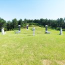 수성최씨시조묘 이미지