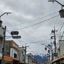 록본기 | 일본 도쿄 근교 후지산 투어 도쿄타워 인근 롯폰기 여행 후기