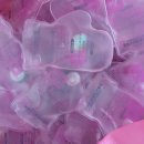 버스정류장(신영장 앞) 이미지