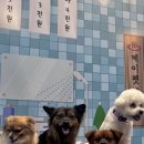 파크탕 네이버블로그