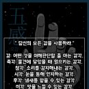 라스트이스케이프 이미지