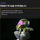 시편 41편 - 澤善固執(택선고집) 선한 것을 잡고 나아간다 이미지