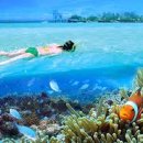 양지로7C 이미지