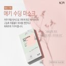 엔디알