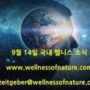 2023년 9월 14일 국내 웰니스 소식