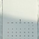 캘리모리